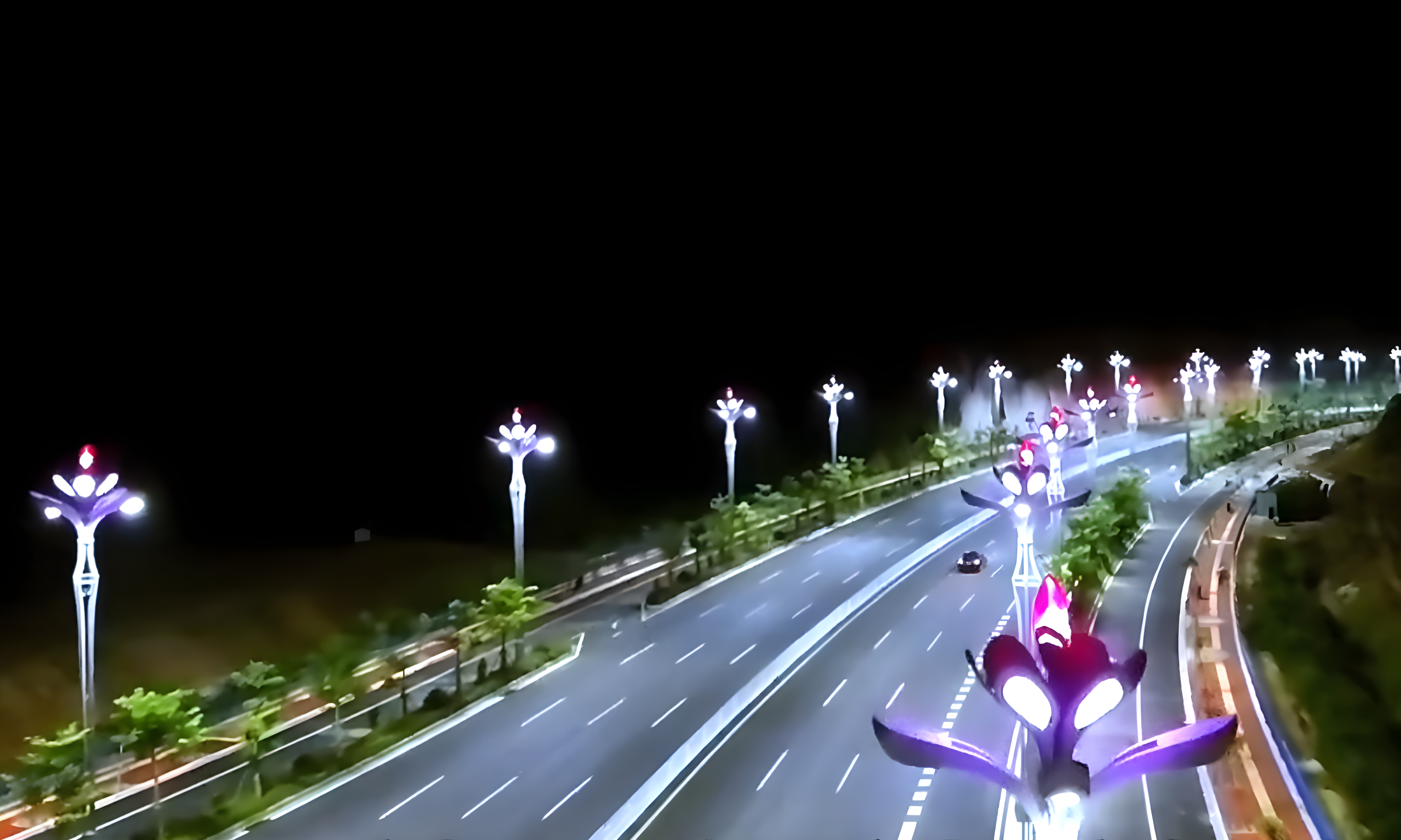 一城一特色，河池「山茶花」綻放新姿態(tài)